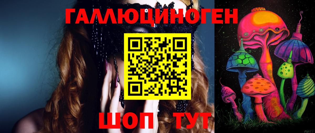 Галлюциногенные грибы Psilocybe Киров
